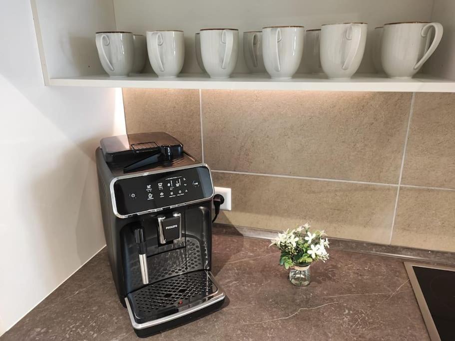 -Stadthaus Ida- Mit Grosser Dachterasse, Am Schlosspark, Luftkurort Kisslegg, Boxspringbetten, Kaffeevollautomat, Smarttv, Familienfreundlich, Grosszuegig, Zentral Buitenkant foto