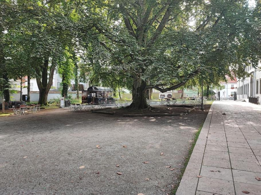 -Stadthaus Ida- Mit Grosser Dachterasse, Am Schlosspark, Luftkurort Kisslegg, Boxspringbetten, Kaffeevollautomat, Smarttv, Familienfreundlich, Grosszuegig, Zentral Buitenkant foto