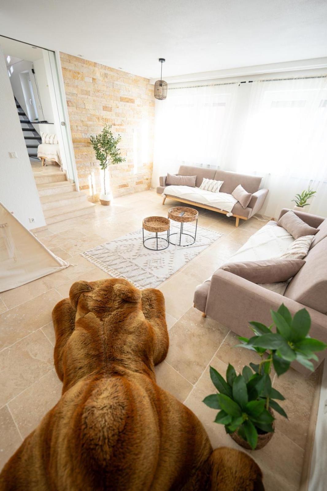 -Stadthaus Ida- Mit Grosser Dachterasse, Am Schlosspark, Luftkurort Kisslegg, Boxspringbetten, Kaffeevollautomat, Smarttv, Familienfreundlich, Grosszuegig, Zentral Buitenkant foto